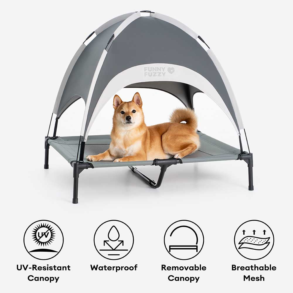 Multi-Functional Breathable Cooling Elevated Dog B