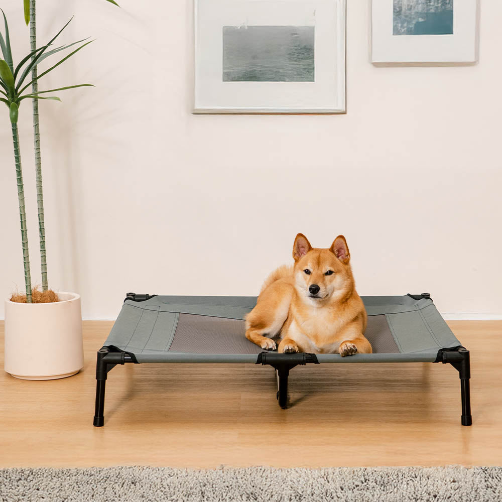 Multi-Functional Breathable Cooling Elevated Dog B