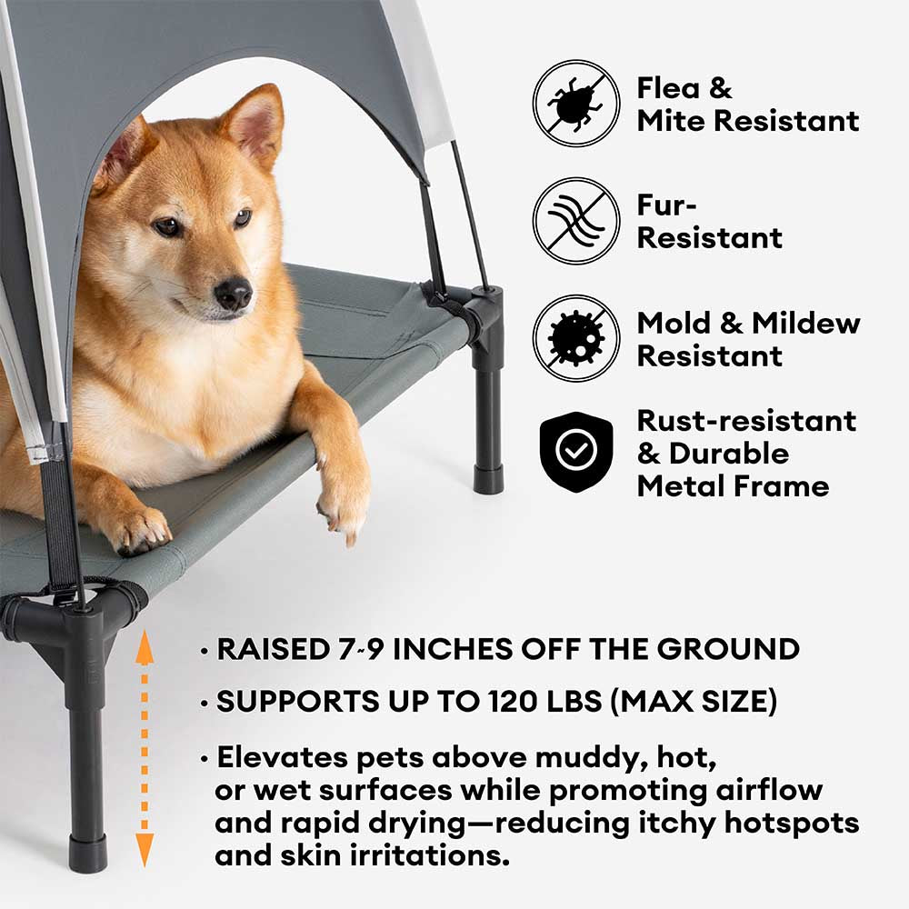 Multi-Functional Breathable Cooling Elevated Dog B