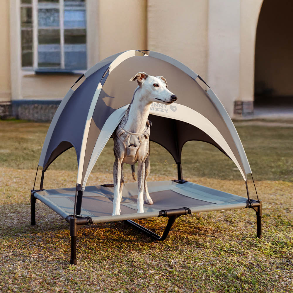 Multi-Functional Breathable Cooling Elevated Dog B