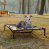 Multi-Functional Breathable Cooling Elevated Dog B