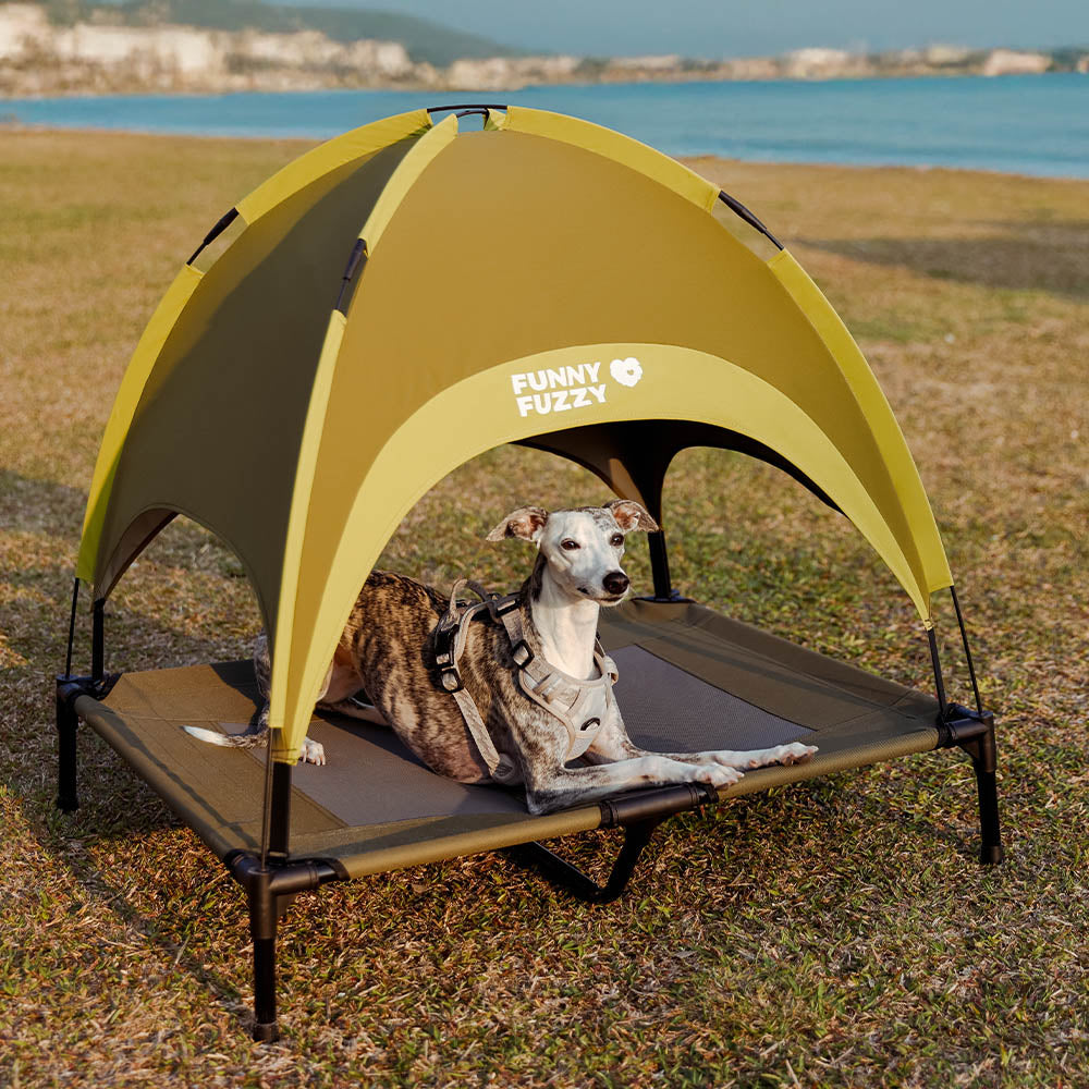 Multi-Functional Breathable Cooling Elevated Dog B