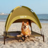Multi-Functional Breathable Cooling Elevated Dog B