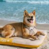 Outdoor Waterproof ＆ Chew-proof Memory Foam Orthop