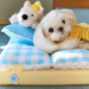 Play And Rest All-In-One Double-Layer Comfortable 