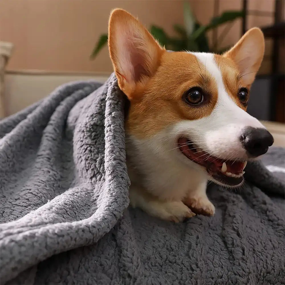 Polar Fleece Comfortable Warm Multifunctional Pet