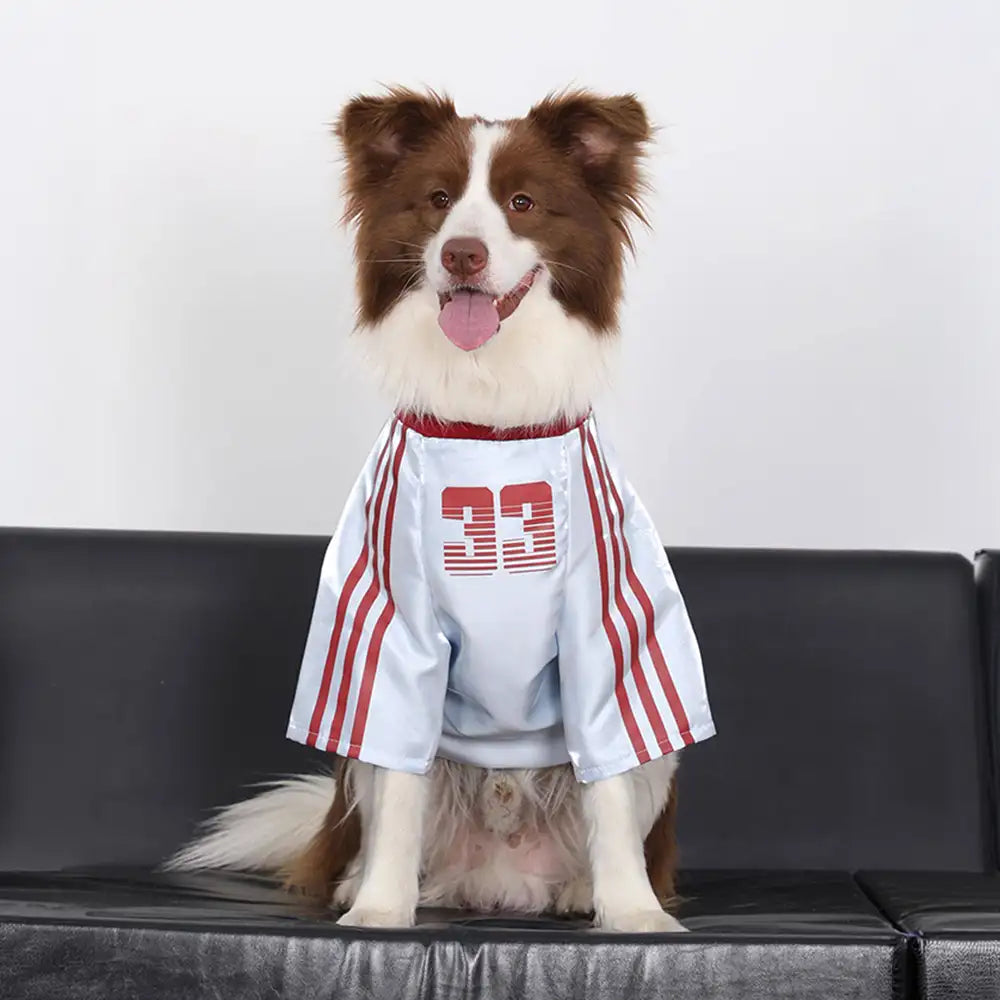 Striped Retro Reflective Dog T-Shirt for All Breed