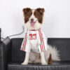 Striped Retro Reflective Dog T-Shirt for All Breed