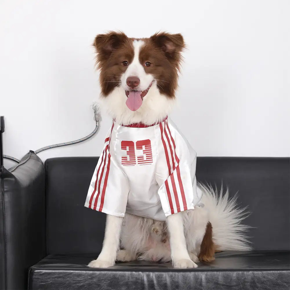 Striped Retro Reflective Dog T-Shirt for All Breed