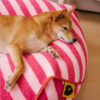 Trendy Striped Pattern Polygonal  Calming Bean Bag