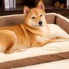 Stylish Expandable Ergonomic Calming Dog Bed - Tra