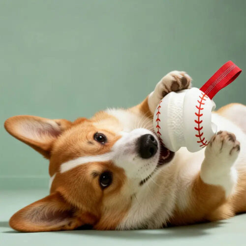 Teething & Play Elastic Interactive Dog Chew Toy