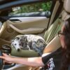 Travel Bolster Safety Back Seat Large Dog Car Seat