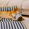 Stripe Waterproof Foldable Large Dog Sofa Bed - Su