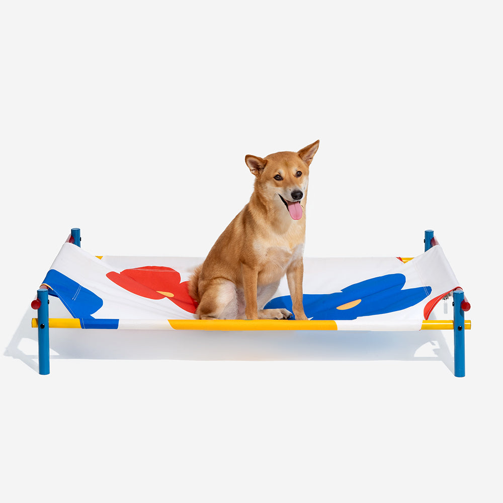 Vibrant Summer Print Style Aluminum Elevated Dog B