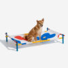 Vibrant Summer Print Style Aluminum Elevated Dog B