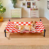 Vibrant Summer Print Style Aluminum Elevated Dog B