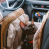 Vogue Eco-friendly Multi-functional Cat Carrier - 