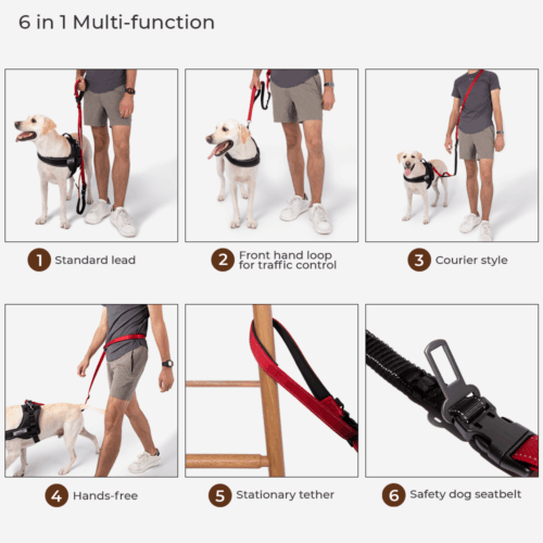 Multifunction Hands Free Dog Leash With Safety Sea