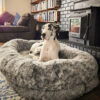 Luxury Super Large Sleep Deeper Oval Bed Human Dog